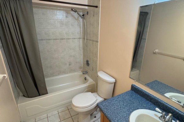 Basement - 48 Brighton Road, Barrie, ON L4M6S4 Photo 5