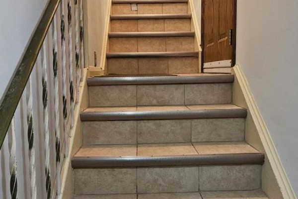 Basement - 49 Algoma Street, Toronto, ON M8Y1C4 Photo 4