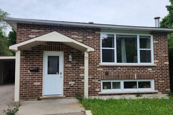 Basement - 71 Helene Crescent, Waterloo, ON N2L5E6 Photo 2