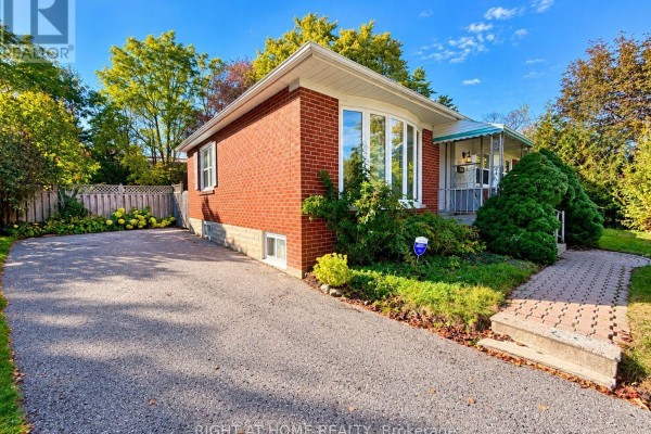 Basement - 72 Monkswood Crescent, Newmarket, ON L3Y2K1 Photo 3