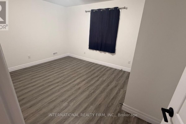 Basement - 891 Darnley Boulevard, London South, ON N6M0L9 Photo 5