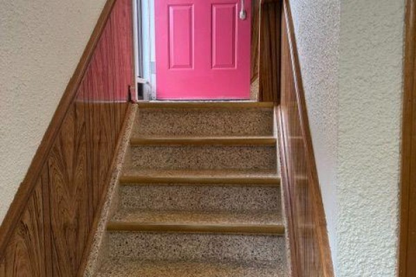 Carpeted stairs with wood paneling leading up to a pink door at the top. - Basement - 9 Japonica Road, Toronto