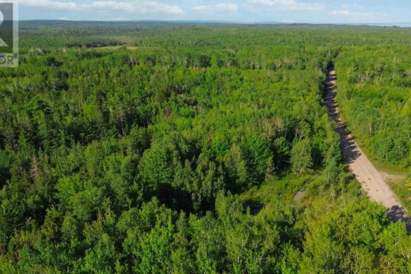 Bennie Muckle - 30 Acres Road, Bramber, NS B0N2A0 Photo 4