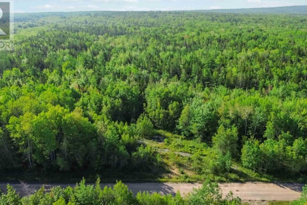 Bennie Muckle - 30 Acres Road, Bramber, NS B0N2A0 Photo 5