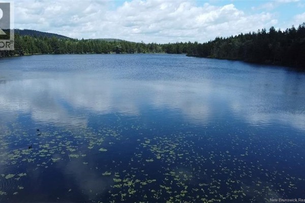 Big Salmon River Road, Fair View, NB E5R1L6 Photo 4