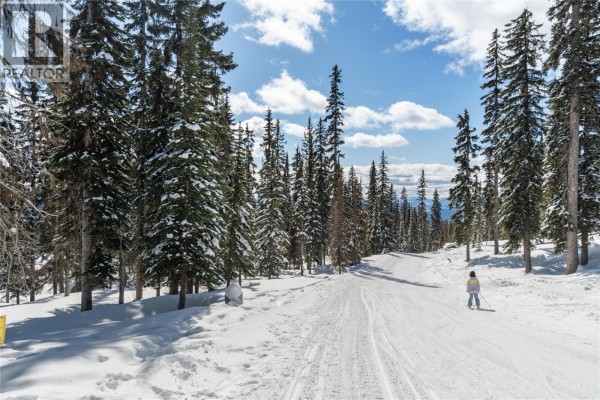 Black Forest Way Lot# 3, Big White, BC V1P1P3 Photo 2