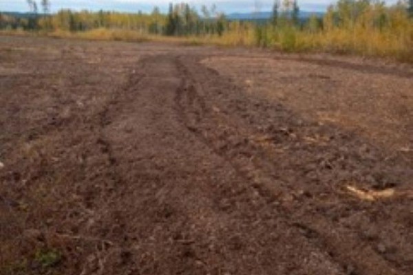 Blk A 97 Highway, Hixon, BC V0K1S0 Photo 4