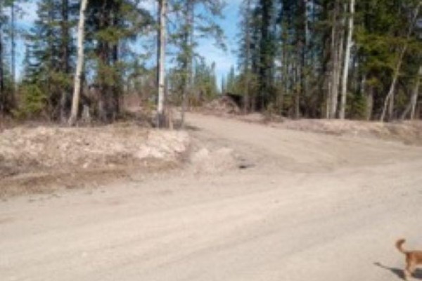 Blk A 97 Highway, Hixon, BC V0K1S0 Photo 5