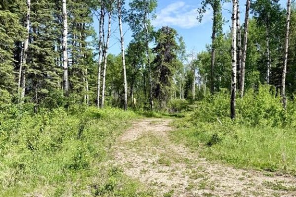 Block 1 Lot 13 Elk Ridge Estates, Rural Woodlands County, AB, photo 2