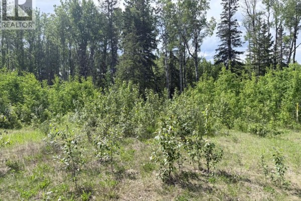 Block 1 Lot 5 Elk Ridge Estates, Rural Woodlands County, AB, photo 2