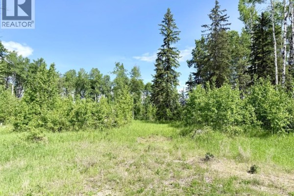Block 1 Lot 9 Elk Ridge Estates, Rural Woodlands County, AB, photo 3