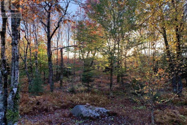 Block 1 No 316 Highway, Country Harbour, NS B0H1J0 Photo 4