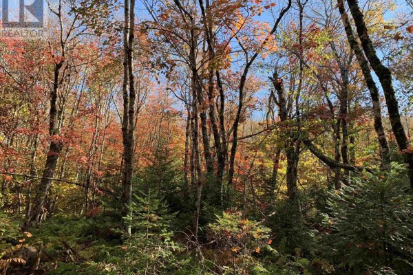 Block 1 No 316 Highway, Country Harbour, NS B0H1J0 Photo 5