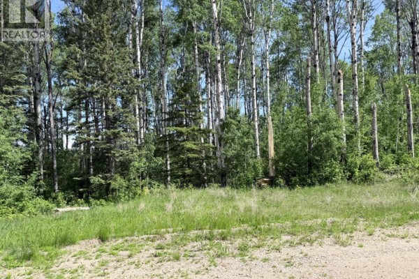 Block 2 Lot 6 Elk Ridge Estates, Rural Woodlands County, AB, photo 2