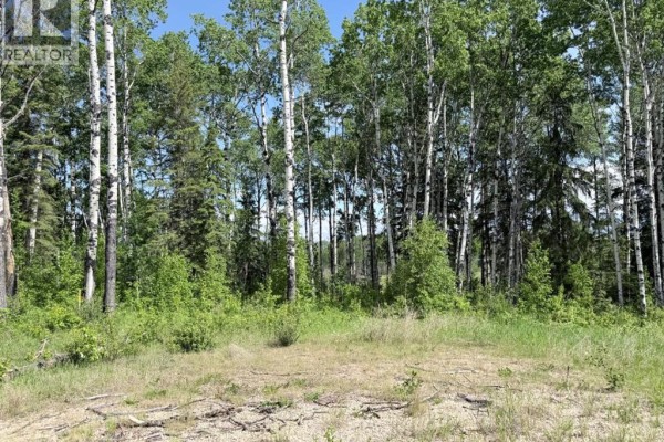 Block 2 Lot 7 Elk Ridge Estates, Rural Woodlands County, AB, photo 3
