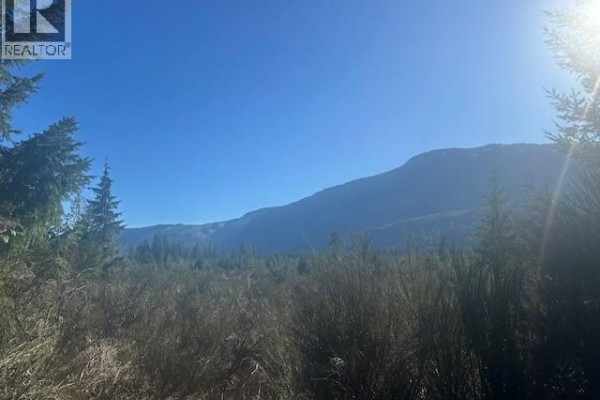 Block 200 Hudgrove Rd, Lake Cowichan, BC V0R2G0 Photo 5