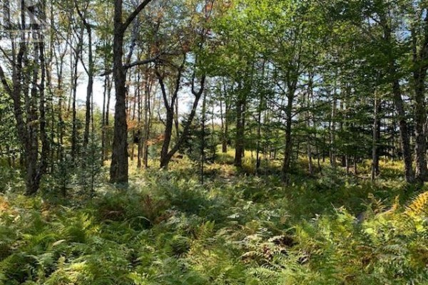 Block 3 No 316 Highway, Country Harbour, NS B0H1J0 Photo 5
