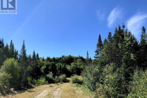 Block 4 No 316 Highway, Country Harbour