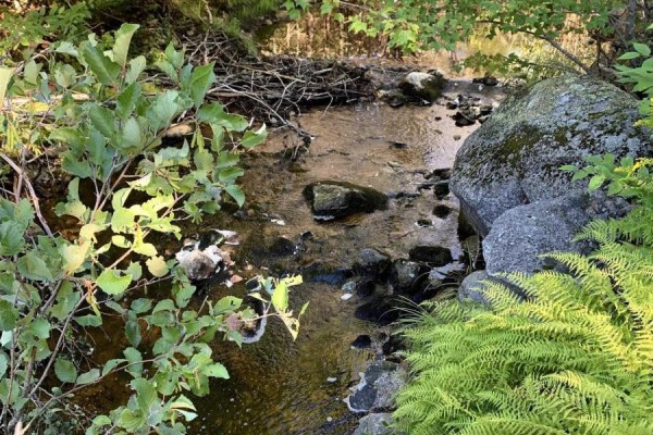 Block 4 No 316 Highway, Country Harbour, NS B0H1J0 Photo 2