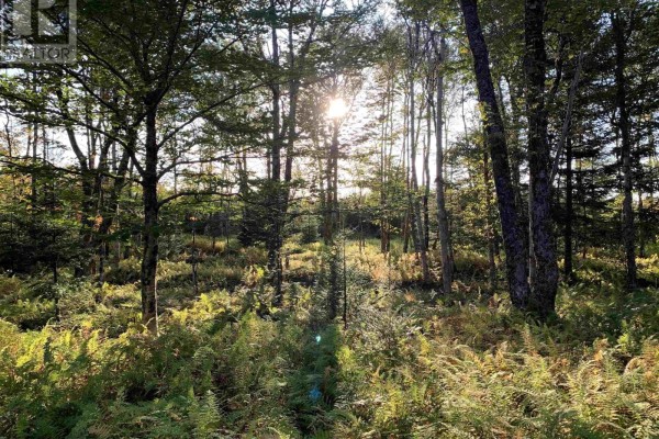 Block 4 No 316 Highway, Country Harbour, NS B0H1J0 Photo 3