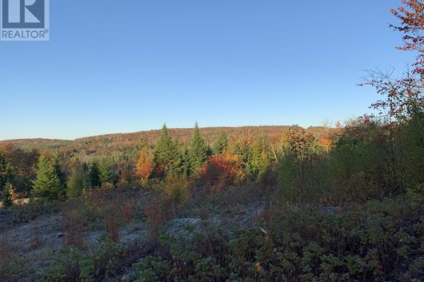 Block 7 No 316 Highway, Country Harbour