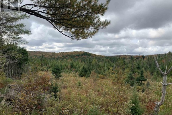 Block 7 No 316 Highway, Country Harbour, NS B0H1J0 Photo 2