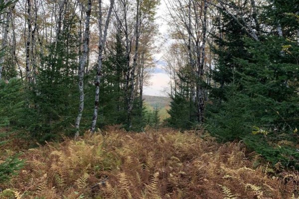 Block 7 No 316 Highway, Country Harbour, NS B0H1J0 Photo 3