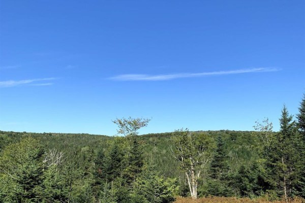 Block 7 No 316 Highway, Country Harbour, NS B0H1J0 Photo 5