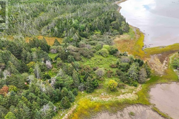 Block X1 Gros Point, Lower East Chezzetcook, NS B0J1N0 Photo 5