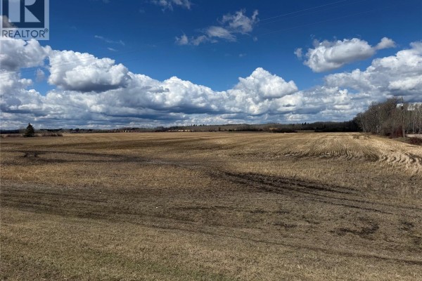Borowetz, Hudson Bay Rm No  394, SK, photo 3