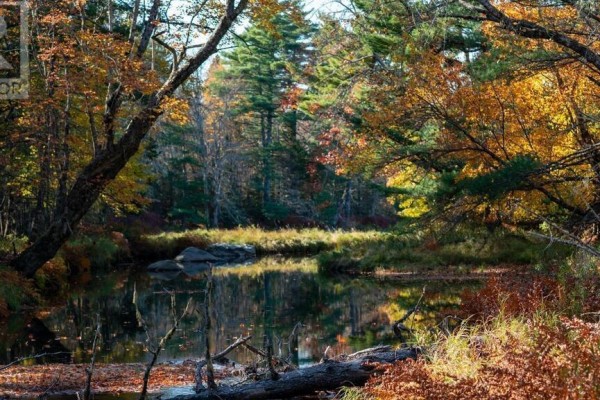 Br-3 Bowers Road, Lower Ohio, NS B0T1W0 Photo 4