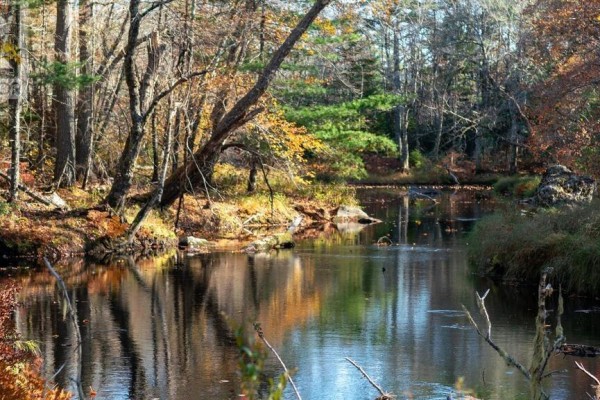 Br-4 Bowers Road, Lower Ohio, NS B0T1W0 Photo 2