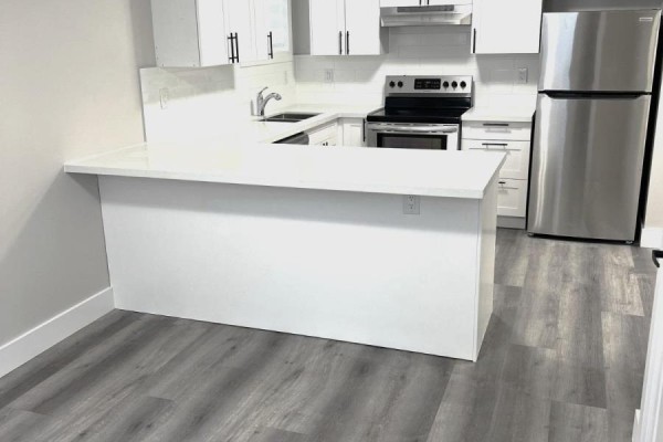 Bsmnt - 162 Penetanguishene Road, Barrie, ON L4M7C3 Photo 3