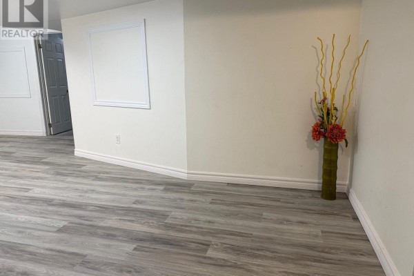 Recreational, Games room - Bsmnt - 36 Ostick Street, Aurora, ON L4G7K5 Photo 3