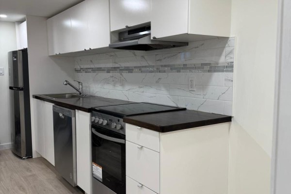 Bsmt - 1222 Shaw Street, Toronto, ON M6G3N6 Photo 4