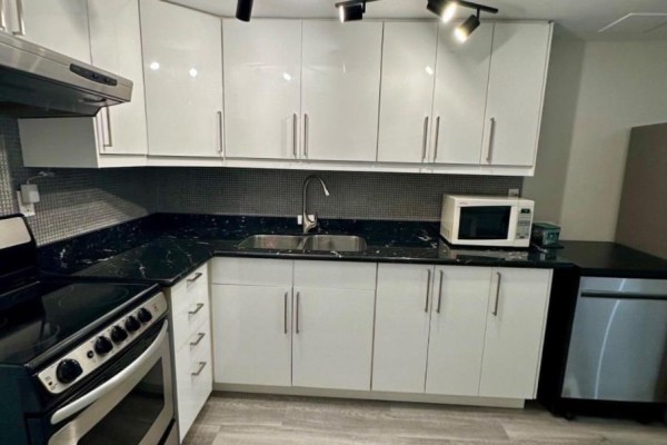 Close-up of the kitchen counter with a double sink, microwave, and stainless steel dishwasher. - Bsmt - 13 Sorauren Avenue, Toronto