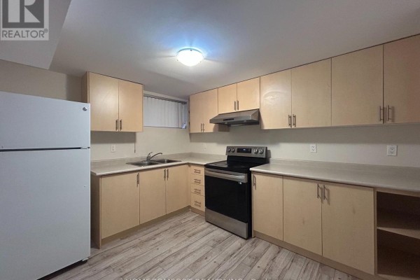 Bsmt - 169 Willowbrook Road, Markham, ON L3T5L5 Photo 5