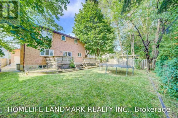 Bsmt - 171 Greenfield Avenue, Toronto, ON M2N3E1 Photo 3