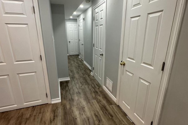 Bsmt - 233 Powell Street, Brantford, ON N3T0J3 Photo 5