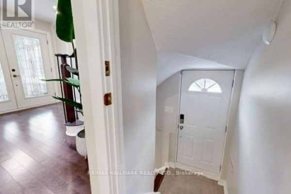 Bsmt - 238 Rumble Avenue, Richmond Hill, ON L4C4G7 Photo 2