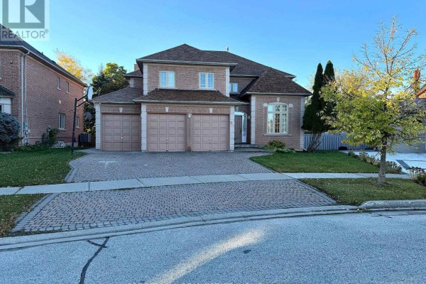 Bsmt - 24 Green Ash Crescent, Richmond Hill