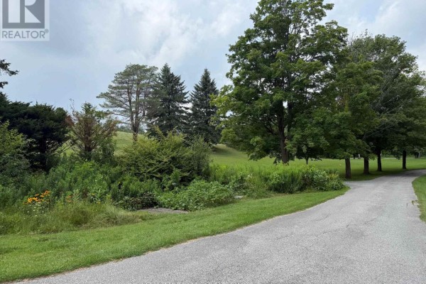 Bsmt - 3325 Vandorf Side Road, Whitchurch Stouffville, ON L4A7X5 Photo 4