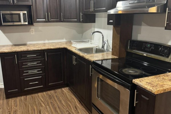 Bsmt - 349 Carnaby Court, Oshawa, ON L1G6N7 Photo 4