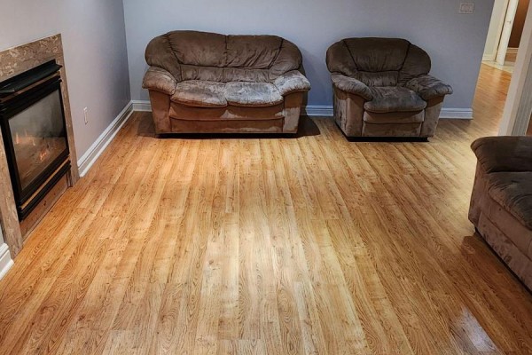 Basement living area with light wood laminate flooring, a gas fireplace with marble surround, and plush seating. - Bsmt - 37 Shawn Place, Vaughan