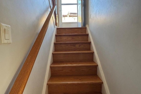Bedroom - Bsmt - 41 Stoneton Drive, Toronto, ON M1H2P6 Photo 4