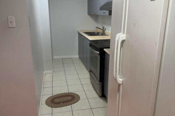 Bsmt - 435 Elson Street, Markham, ON L3S4T8 Photo 4
