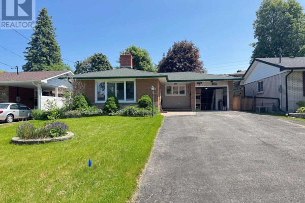 Bsmt - 459 Bernhard Crescent, Oshawa