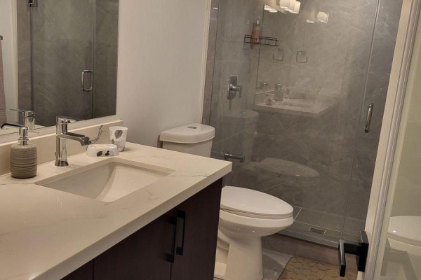 Bsmt - 495 George Ryan Avenue, Oakville, ON L6H0S5 Photo 5