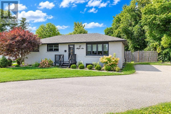 Bsmt - 52 Maple Avenue, Halton Hills, ON L7G1X7 Photo 2