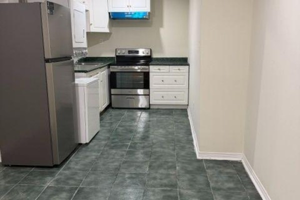 Bsmt - 584 Doubletree Lane, Newmarket, ON, photo 2